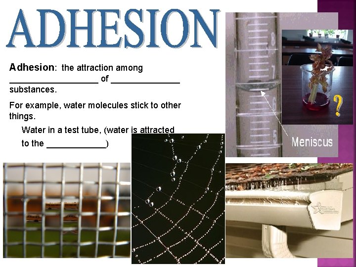 Adhesion: the attraction among _________ of _______ substances. For example, water molecules stick to