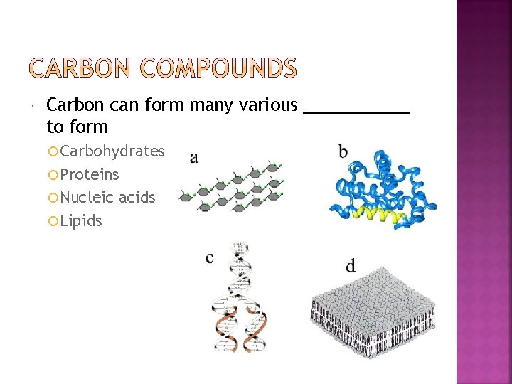  Carbon can form many various ______ to form Carbohydrates Proteins Nucleic Lipids acids