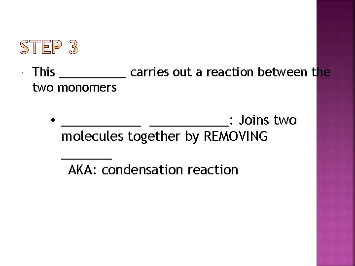  This _____ carries out a reaction between the two monomers • ___________: Joins