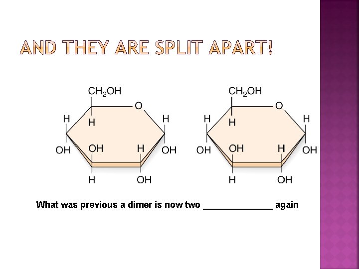 What was previous a dimer is now two _______ again 