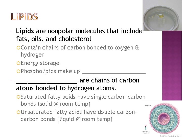  Lipids are nonpolar molecules that include fats, oils, and cholesterol Contain chains of