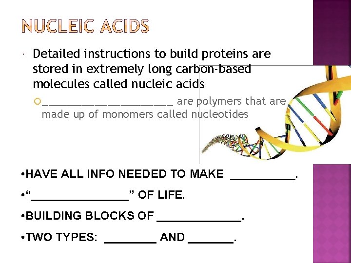  Detailed instructions to build proteins are stored in extremely long carbon-based molecules called