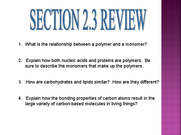 1. What is the relationship between a polymer and a monomer? 2. Explain how