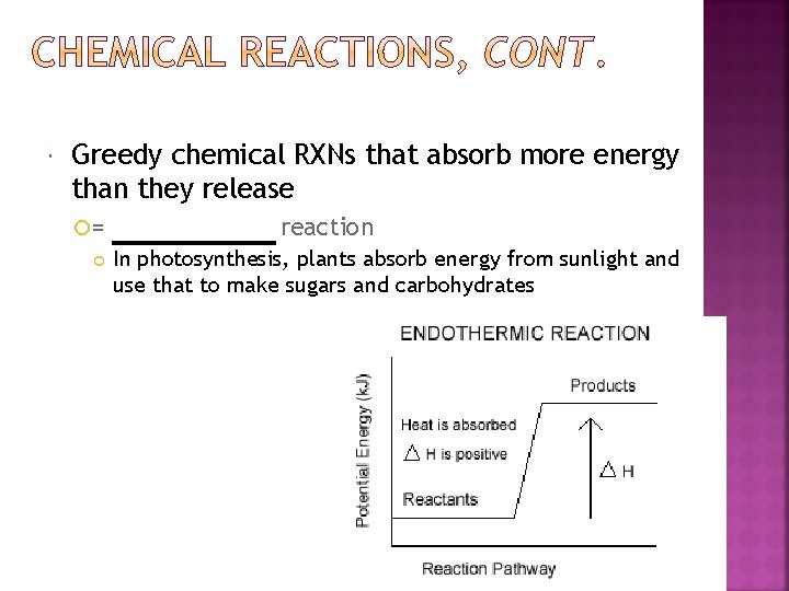  Greedy chemical RXNs that absorb more energy than they release = reaction In