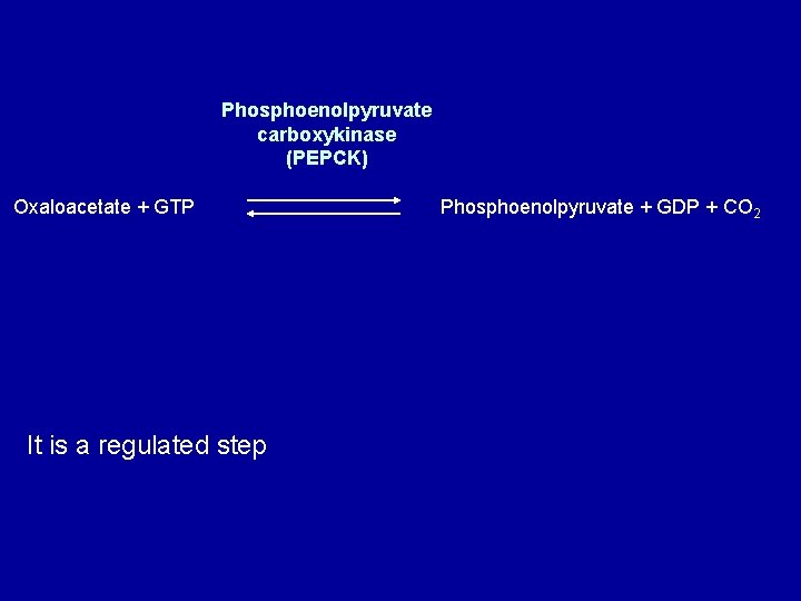 Phosphoenolpyruvate carboxykinase (PEPCK) Oxaloacetate + GTP It is a regulated step Phosphoenolpyruvate + GDP