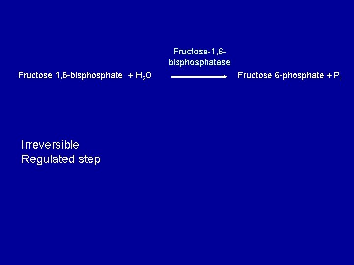 Fructose-1, 6 bisphosphatase Fructose 1, 6 -bisphosphate + H 2 O Irreversible Regulated step