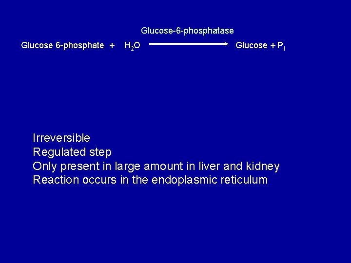 Glucose-6 -phosphatase Glucose 6 -phosphate + H 2 O Glucose + P i Irreversible