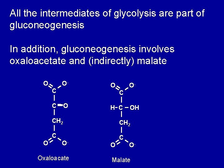 All the intermediates of glycolysis are part of gluconeogenesis In addition, gluconeogenesis involves oxaloacetate