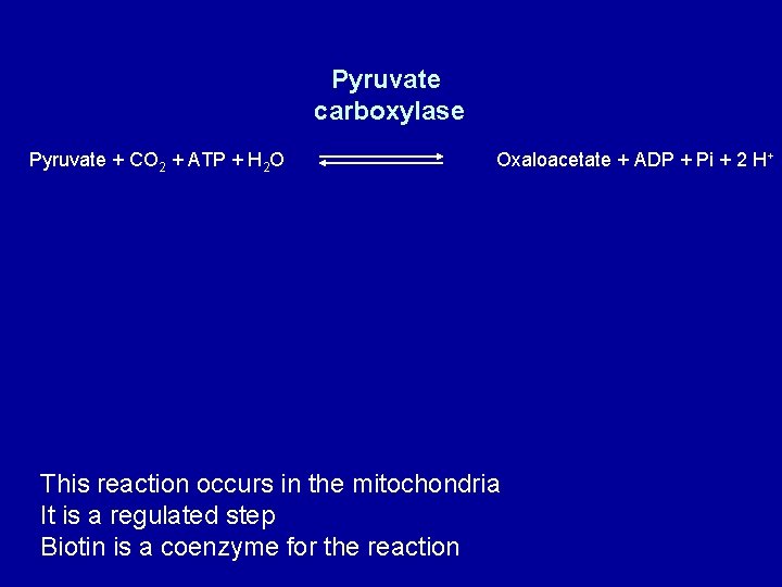 Pyruvate carboxylase Pyruvate + CO 2 + ATP + H 2 O Oxaloacetate +