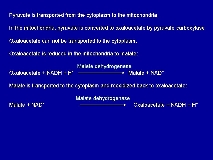 Pyruvate is transported from the cytoplasm to the mitochondria. In the mitochondria, pyruvate is