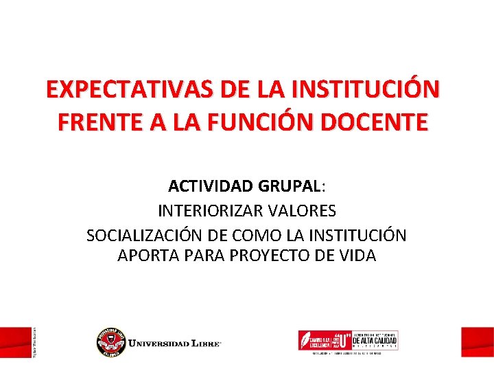 EXPECTATIVAS DE LA INSTITUCIÓN FRENTE A LA FUNCIÓN DOCENTE ACTIVIDAD GRUPAL: INTERIORIZAR VALORES SOCIALIZACIÓN