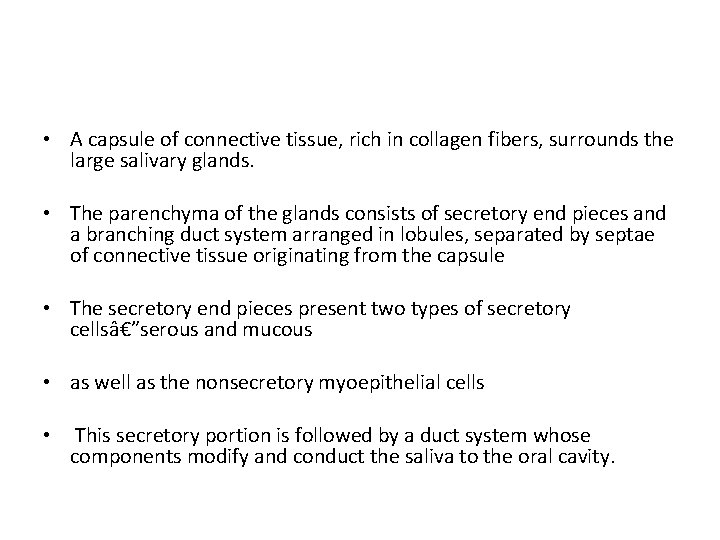  • A capsule of connective tissue, rich in collagen fibers, surrounds the large