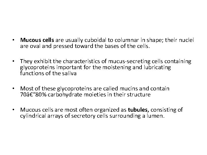  • Mucous cells are usually cuboidal to columnar in shape; their nuclei are