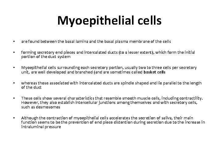 Myoepithelial cells • are found between the basal lamina and the basal plasma membrane