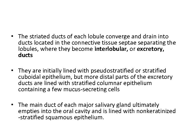  • The striated ducts of each lobule converge and drain into ducts located