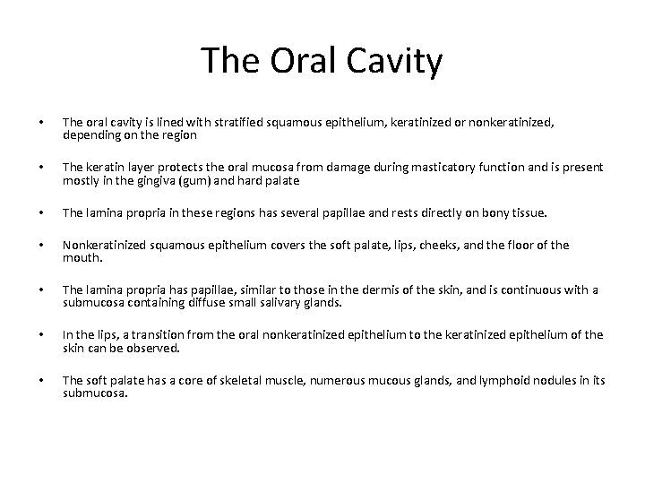 The Oral Cavity • The oral cavity is lined with stratified squamous epithelium, keratinized