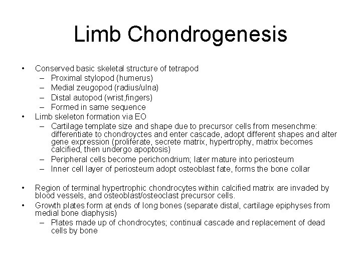 Limb Chondrogenesis • • Conserved basic skeletal structure of tetrapod – Proximal stylopod (humerus)
