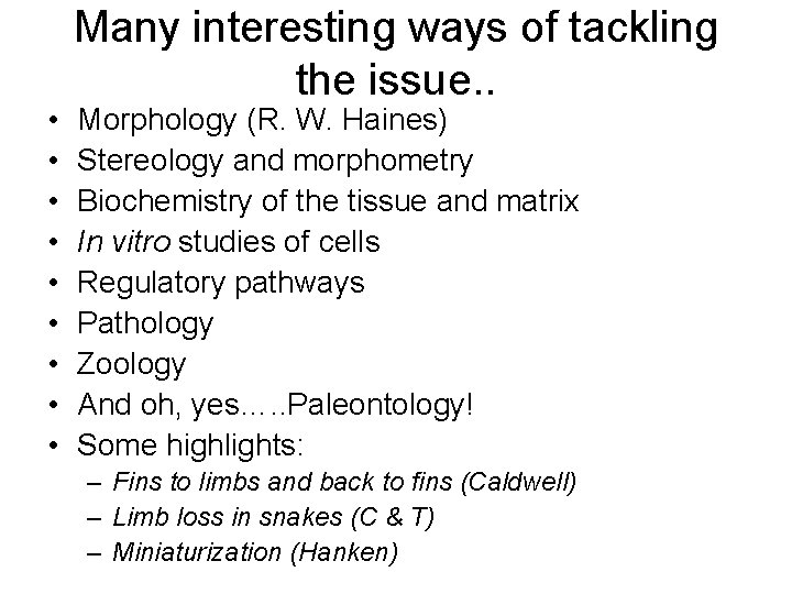  • • • Many interesting ways of tackling the issue. . Morphology (R.