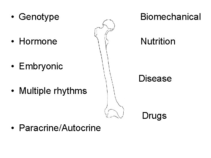  • Genotype Biomechanical • Hormone Nutrition • Embryonic Disease • Multiple rhythms Drugs