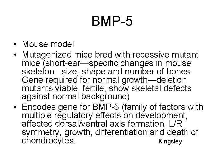 BMP-5 • Mouse model • Mutagenized mice bred with recessive mutant mice (short-ear—specific changes