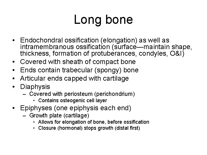Long bone • Endochondral ossification (elongation) as well as intramembranous ossification (surface—maintain shape, thickness,