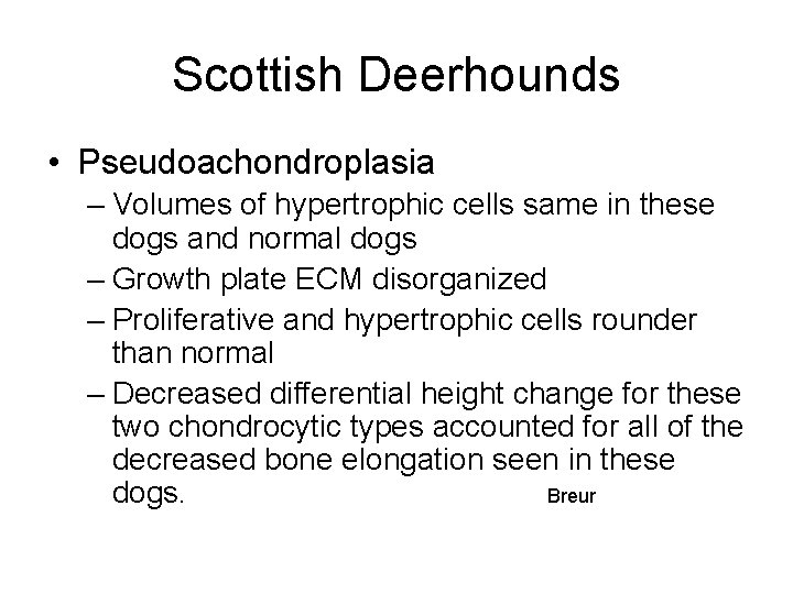 Scottish Deerhounds • Pseudoachondroplasia – Volumes of hypertrophic cells same in these dogs and