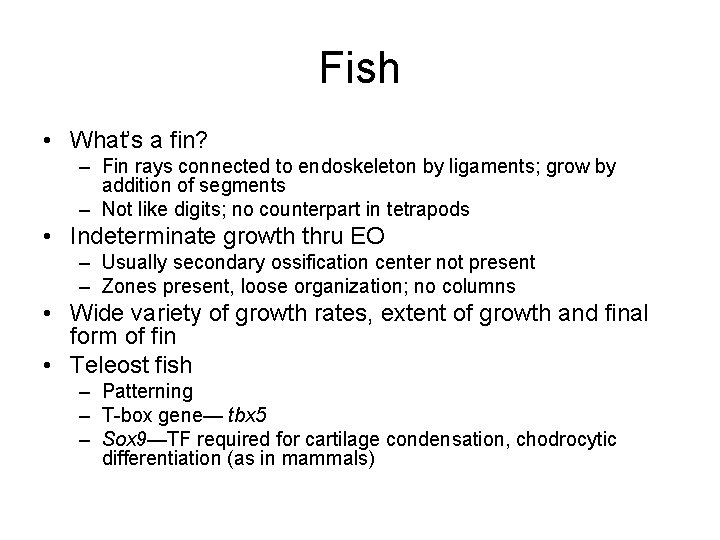 Fish • What’s a fin? – Fin rays connected to endoskeleton by ligaments; grow