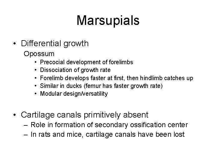 Marsupials • Differential growth Opossum • • • Precocial development of forelimbs Dissociation of