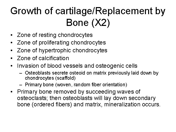 Growth of cartilage/Replacement by Bone (X 2) • • • Zone of resting chondrocytes