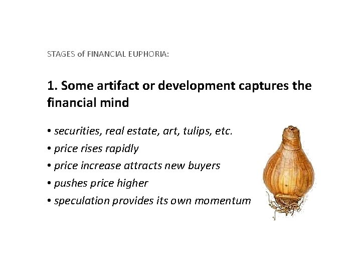 A Short History of Financial Euphoria by John