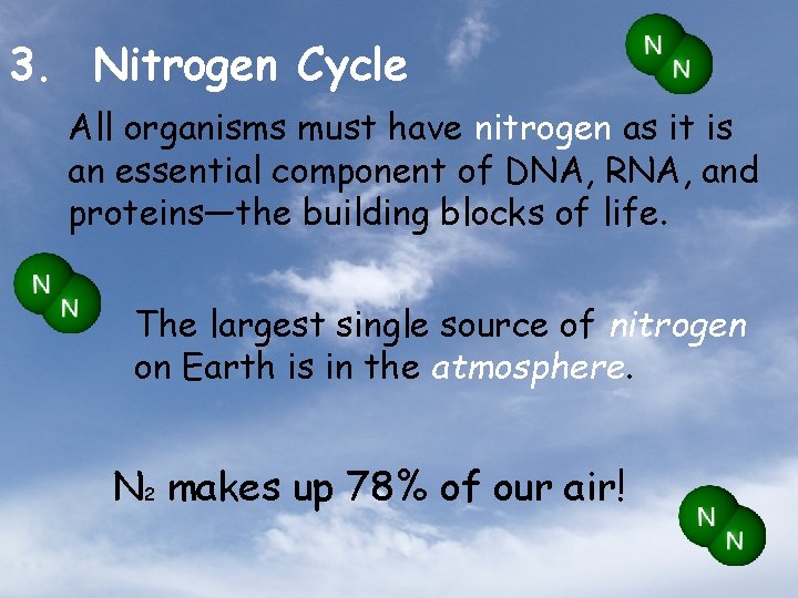 3. Nitrogen Cycle All organisms must have nitrogen as it is an essential component