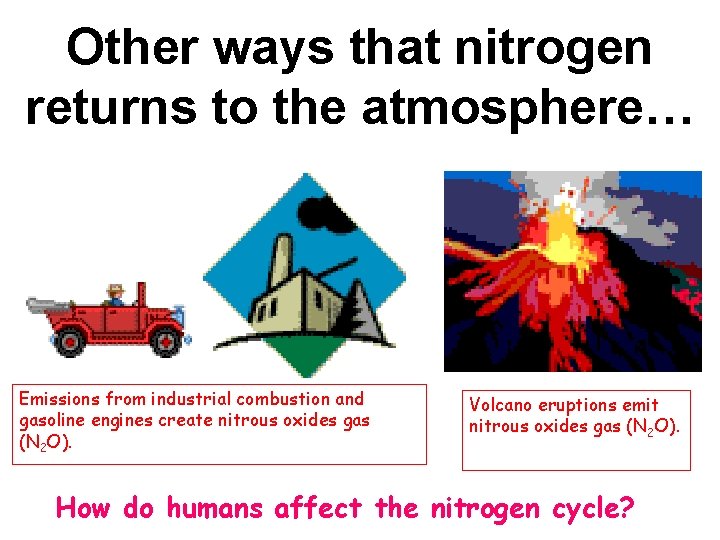 Other ways that nitrogen returns to the atmosphere… Emissions from industrial combustion and gasoline