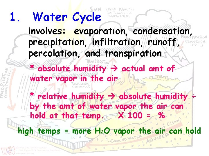 1. Water Cycle involves: evaporation, condensation, precipitation, infiltration, runoff, percolation, and transpiration * absolute