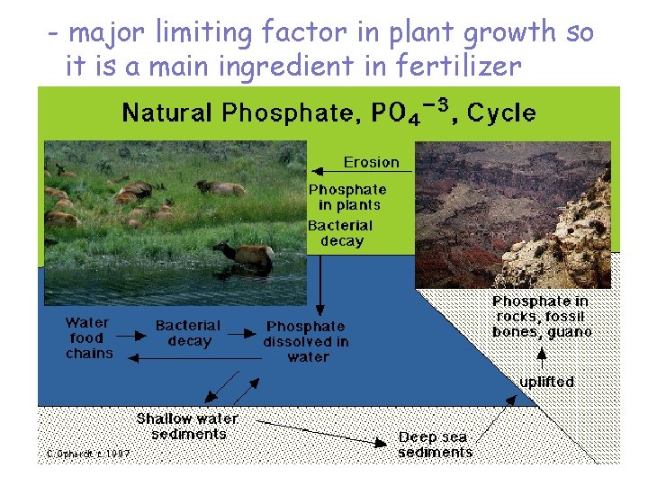 - major limiting factor in plant growth so it is a main ingredient in