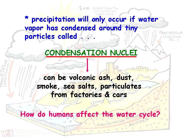 * precipitation will only occur if water vapor has condensed around tiny particles called.