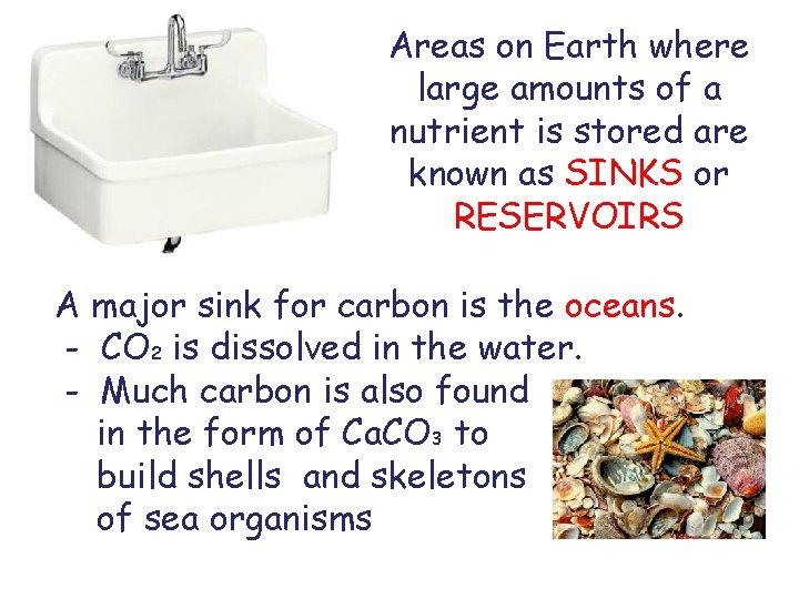 Areas on Earth where large amounts of a nutrient is stored are known as