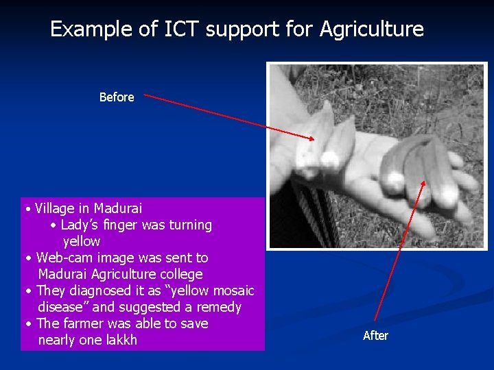 Example of ICT support for Agriculture Before • Village in Madurai • Lady’s finger