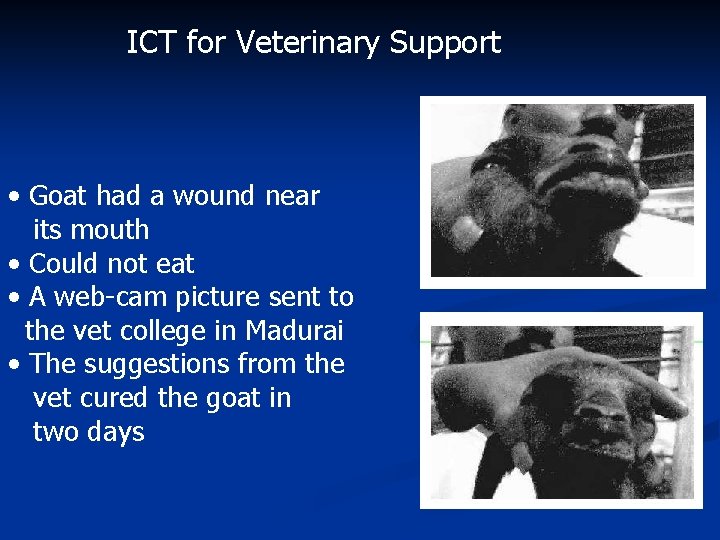 ICT for Veterinary Support • Goat had a wound near its mouth • Could