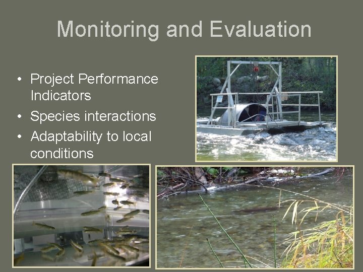 Monitoring and Evaluation • Project Performance Indicators • Species interactions • Adaptability to local