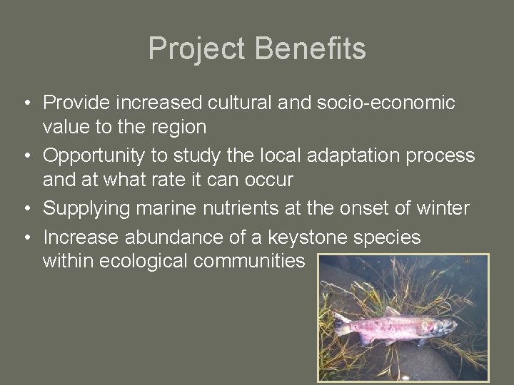 Project Benefits • Provide increased cultural and socio-economic value to the region • Opportunity