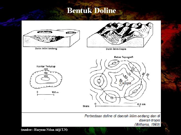 Bentuk Doline (sumber : Haryono N dan Adji T. N) 