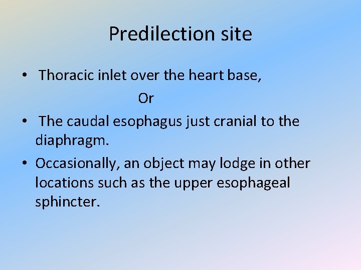 Predilection site • Thoracic inlet over the heart base, Or • The caudal esophagus