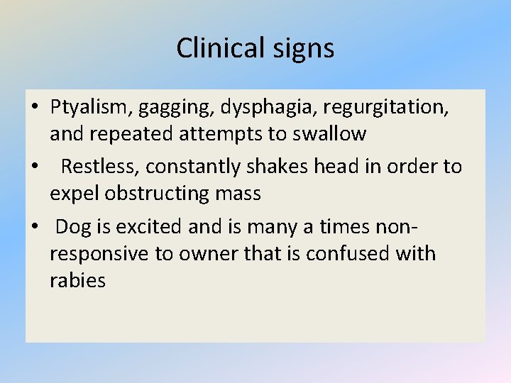 Clinical signs • Ptyalism, gagging, dysphagia, regurgitation, and repeated attempts to swallow • Restless,