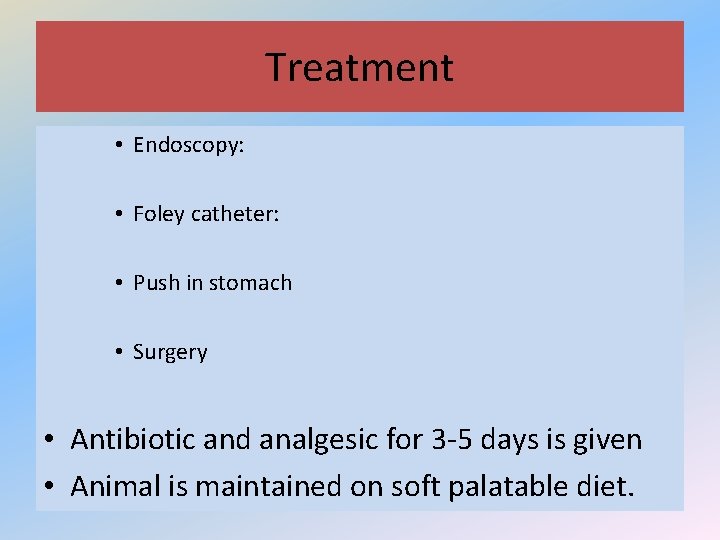 Treatment • Endoscopy: • Foley catheter: • Push in stomach • Surgery • Antibiotic