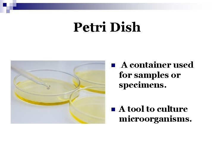 Petri Dish n A container used for samples or specimens. n A tool to