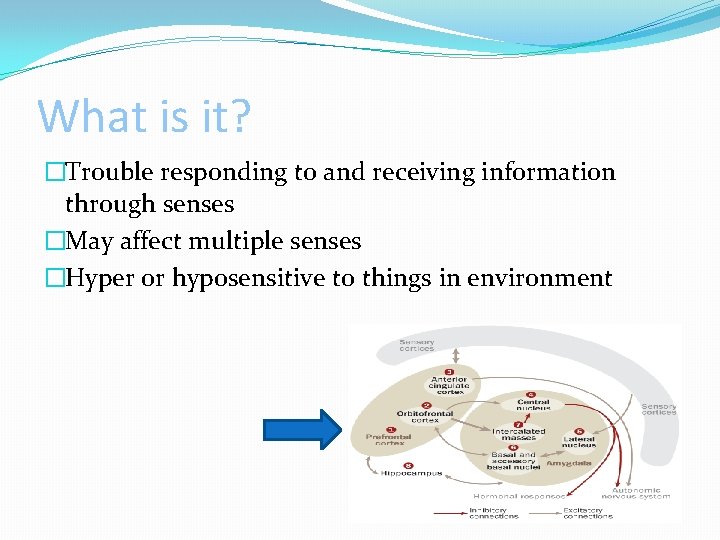 What is it? �Trouble responding to and receiving information through senses �May affect multiple