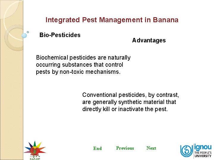 Integrated Pest Management in Banana Bio-Pesticides Advantages Biochemical pesticides are naturally occurring substances that