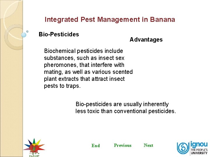 Integrated Pest Management in Banana Bio-Pesticides Advantages Biochemical pesticides include substances, such as insect