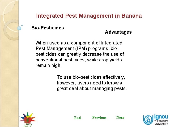 Integrated Pest Management in Banana Bio-Pesticides Advantages When used as a component of Integrated