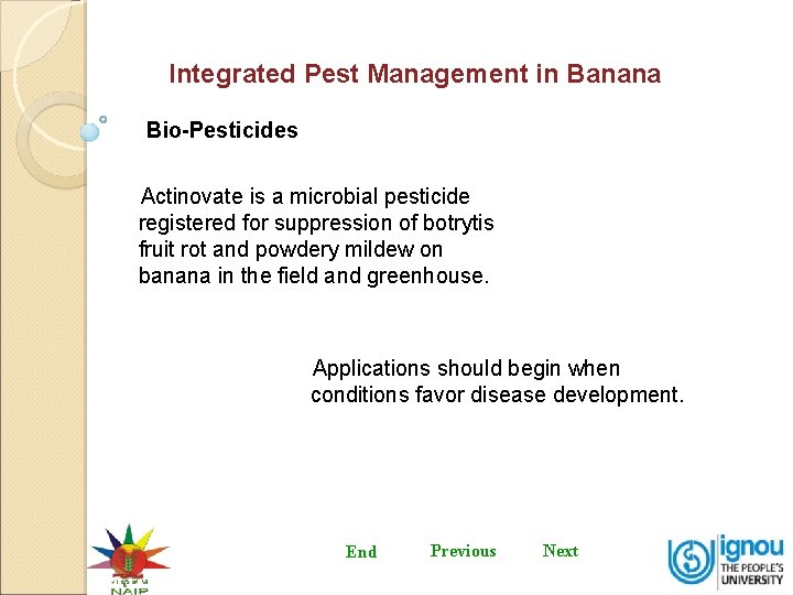 Integrated Pest Management in Banana Bio-Pesticides Actinovate is a microbial pesticide registered for suppression